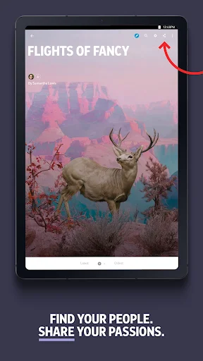 Descarga Flipboard: Tu Revista Social y Noticias – Última Versión - Screenshot 15