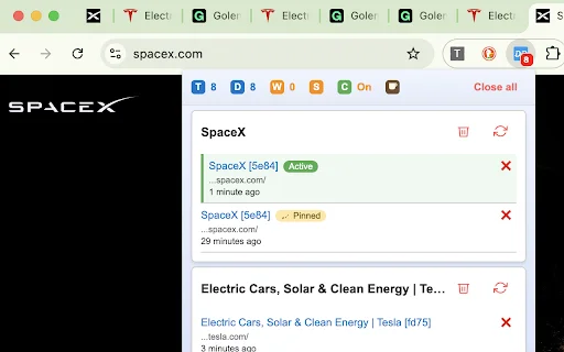 Duplicate Tab Detector: Elimina pestañas duplicadas y optimiza Chrome - Screenshot 1