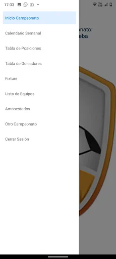 Descarga TacticApp: Gestiona tus Torneos Deportivos Fácilmente - Screenshot 10