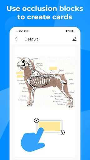 Descarga Knowlet: Mejora tu estudio con flashcards inteligentes - Screenshot 8